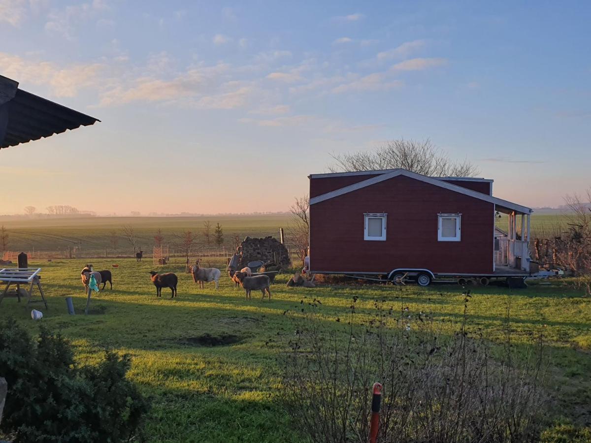 Tiny House Villa Schonbeck  Dış mekan fotoğraf